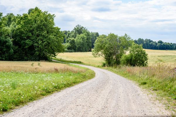 Stone Driveway Repair in Olympia