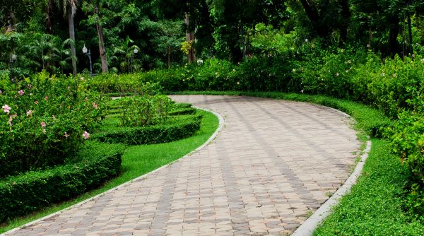 Paver Walkway Repair in Olympia
