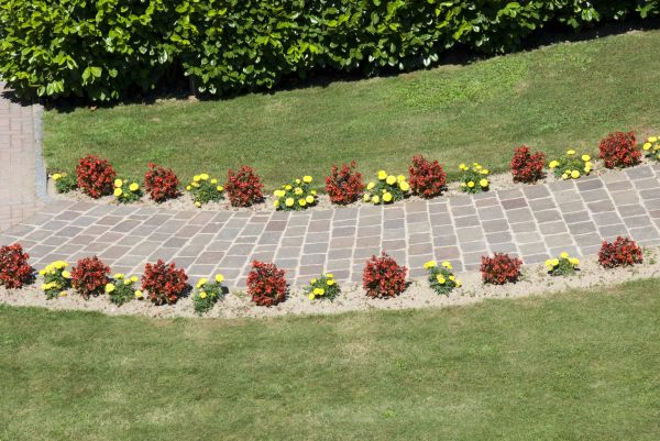 Garden Paving in Olympia