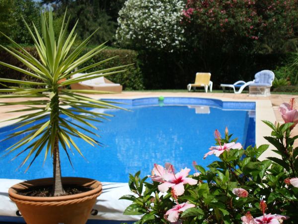 Pool Terrace Renovation in Olympia
