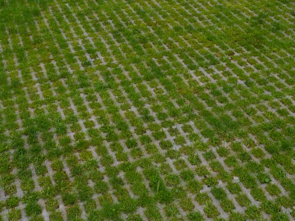 Permeable Pavement Service in Olympia