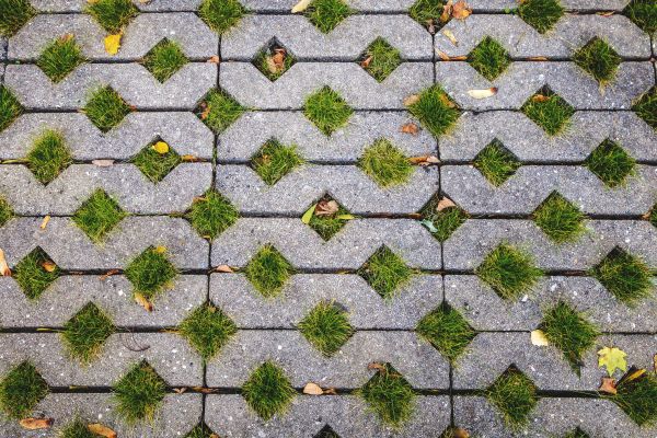 Porous Paver Installation in Olympia